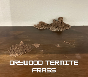 Shows drywood termite pellets (frazz) on a brown floor near a beige wall