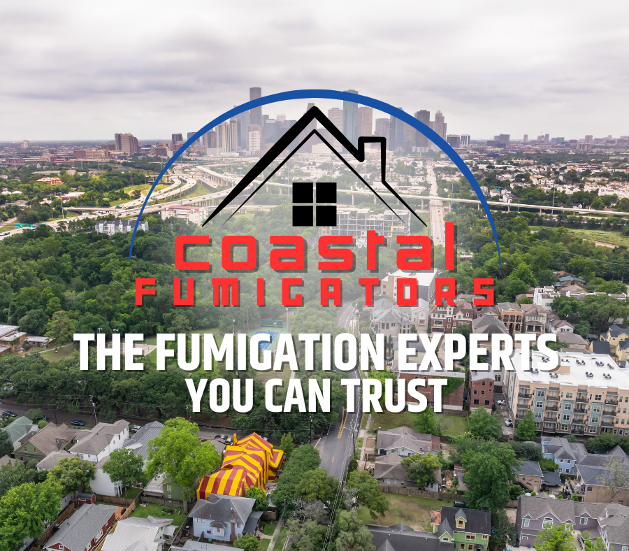 Blog #9 Image -Fumigation Experts