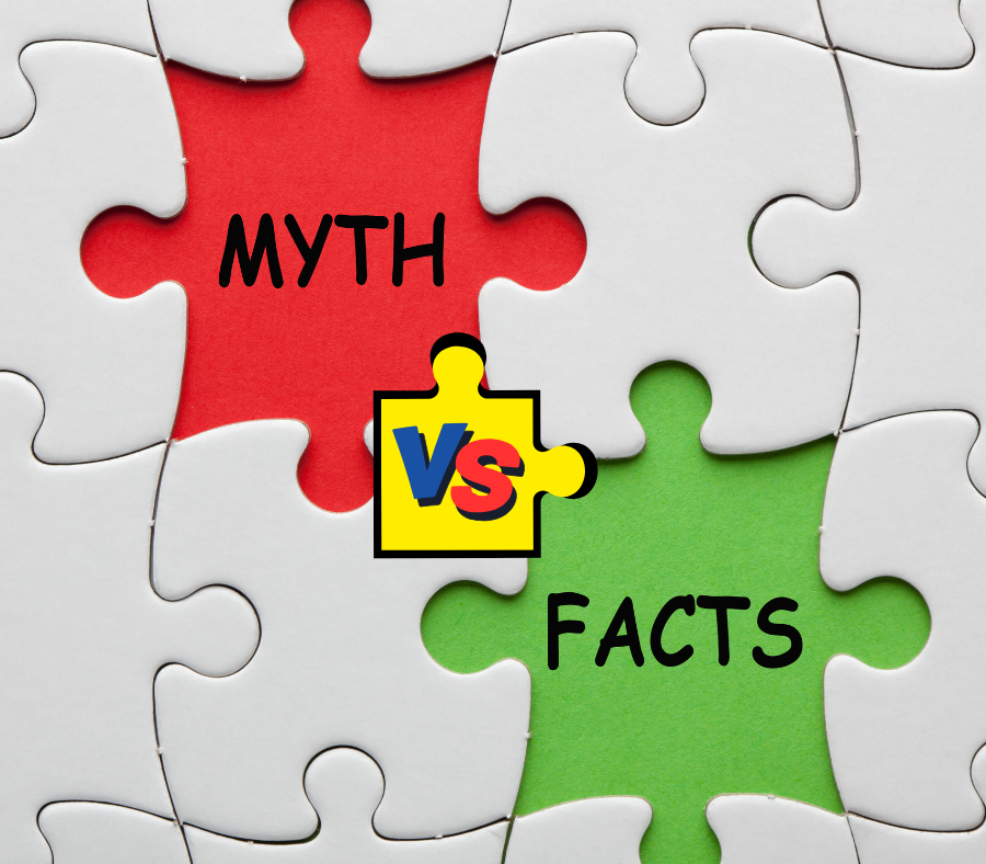 Image of a puzzle with two pieces missing. One says "myth" in red in the empty space and the other says "facts" in green.